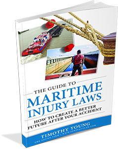 3D Book of Maritime Injury Laws Guidebook Cover